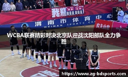 半岛体育APP