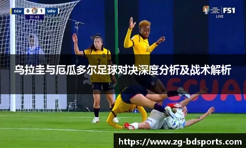 半岛体育APP