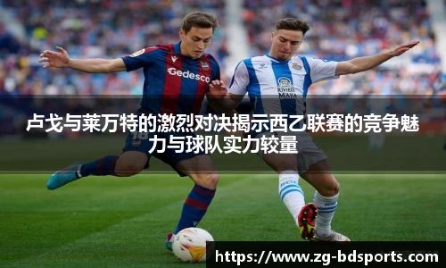 半岛体育