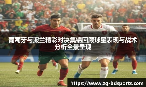 半岛体育APP